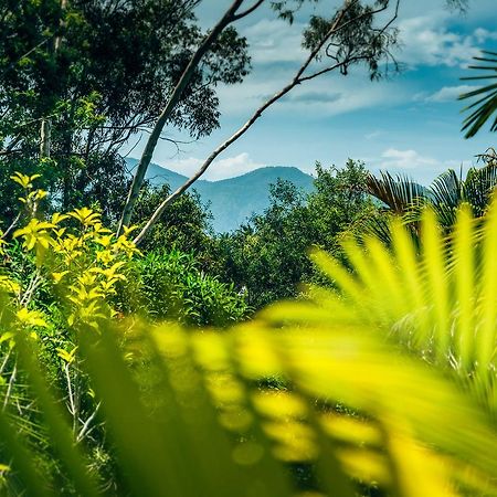 Bella Vista Bellingen Bed & Breakfast Exterior photo