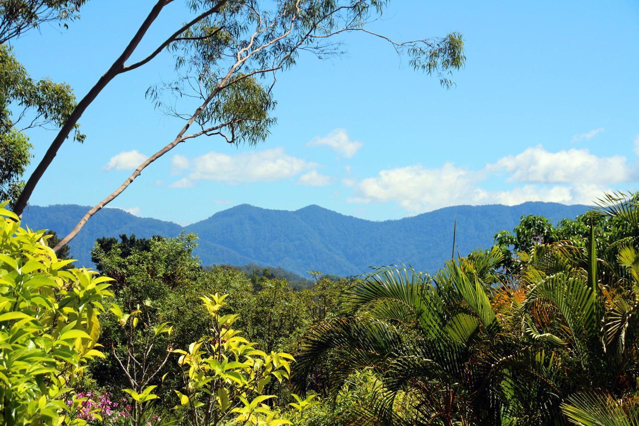 Bella Vista Bellingen Bed & Breakfast Exterior photo
